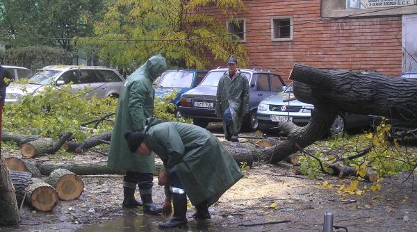 romania in cinci minute