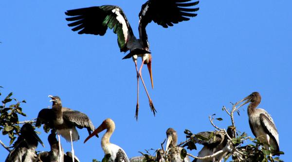 hotarare de guvern lista natura 2000 gata la anul