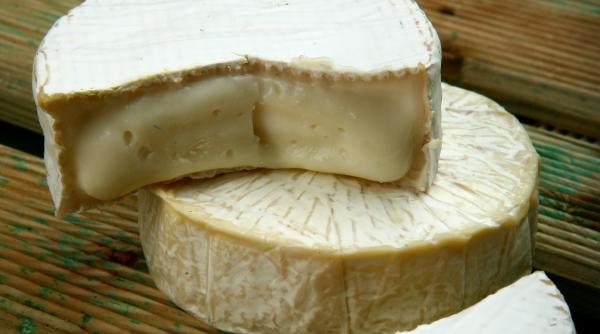 istoria de aur a branzei