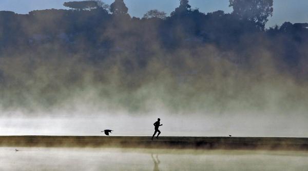 raport onu omenirea in pericol