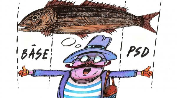 capitalizarea scarbei