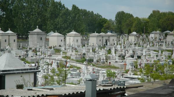 gicu dobrin onorat de gheoghe zamfir