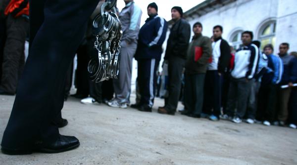 domnul x si domnul y dezvaluie filiera berceanu