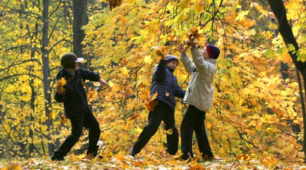 meteo adio ne cam pica frunzele