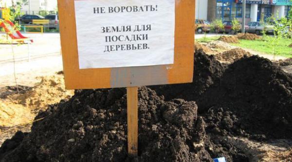 intrebari enervari mirari