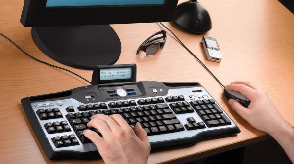 internet pedofilii zburda in cyber space