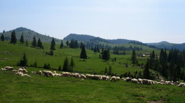 statiune turistica in rezervatia padis