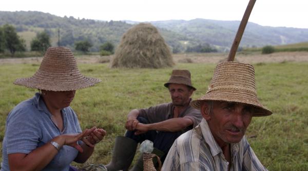 apia cuibusor de nebunii