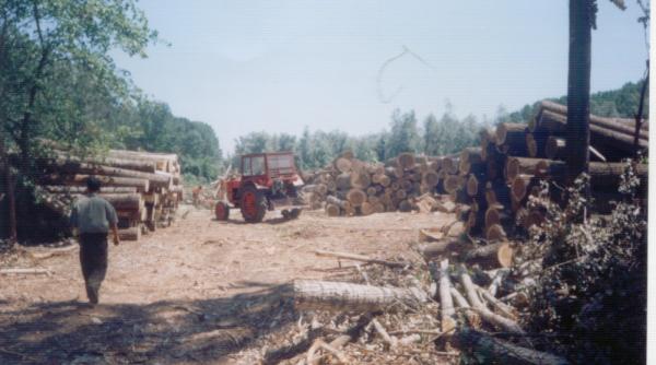 drujba distruge malurile dunarii