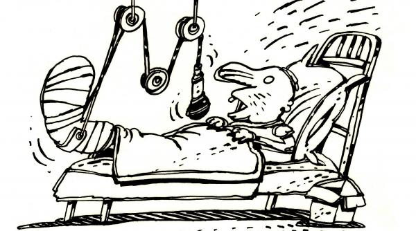 acesti tembeli de rasa care ne conduc