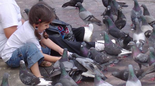 dupa irak sua are parte de un nou conflict cu porubeii