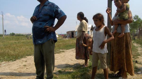 tiganii romani mai ieftini decat vacile