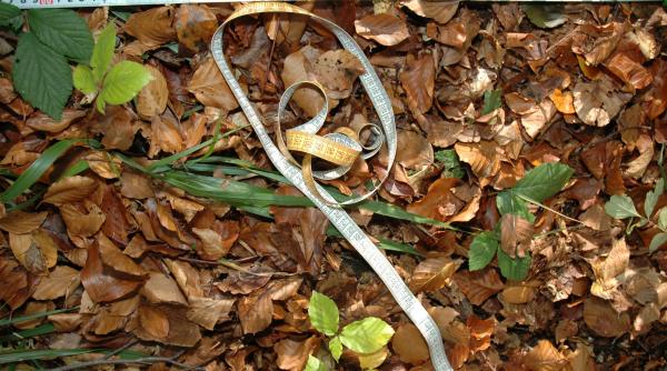 ai fi mai fericit daca elodia ar disparea