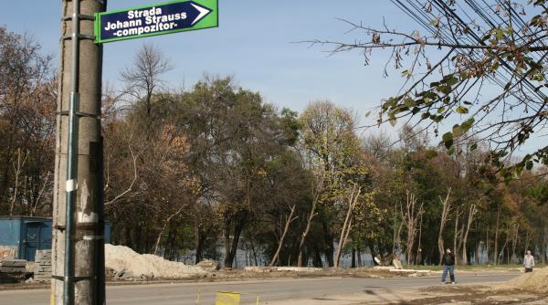 parcurile din primaverii si floreasca la taiere