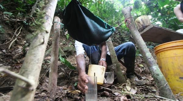 bucataria diavolului