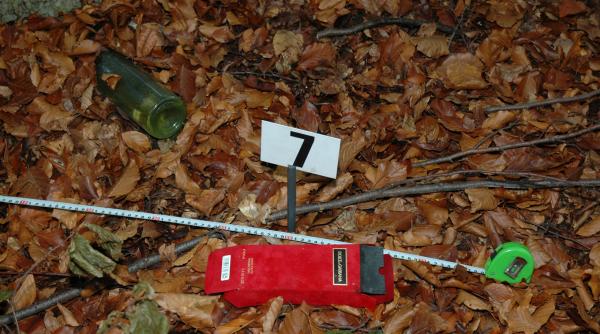 elodia avea acelasi modus operandi