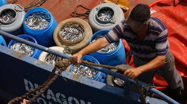 calcan si sprot comisia europeana impune restrictii de pescuit