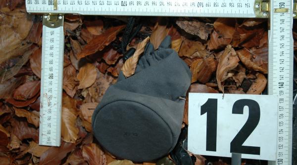 elodia o sa mor pana o sa treaca anul asta