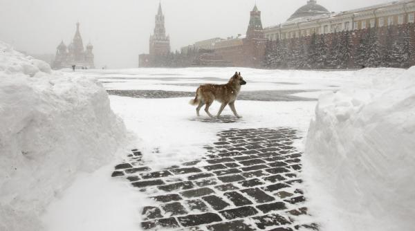 la moscova la moscova