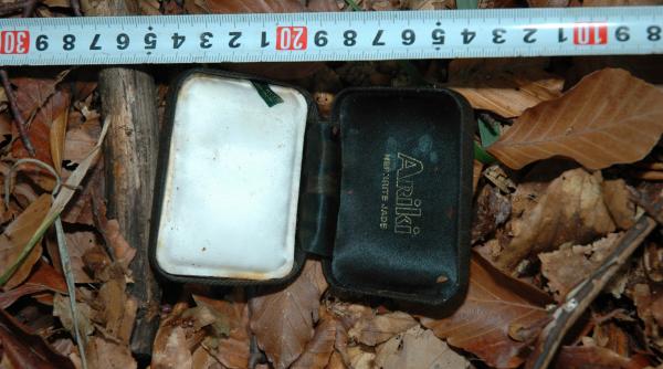 elodia cred ca suntem pe cale sa fi facut o prostioara