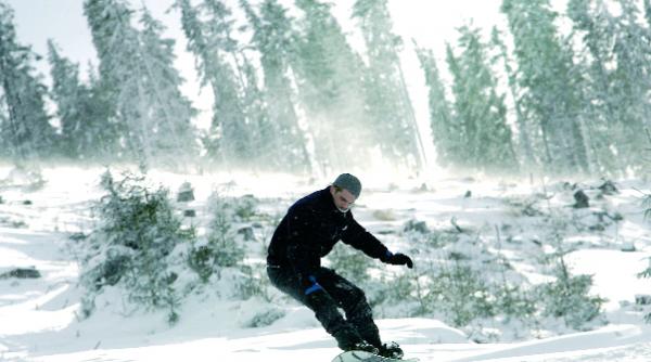 borsa povesti cu telegondole