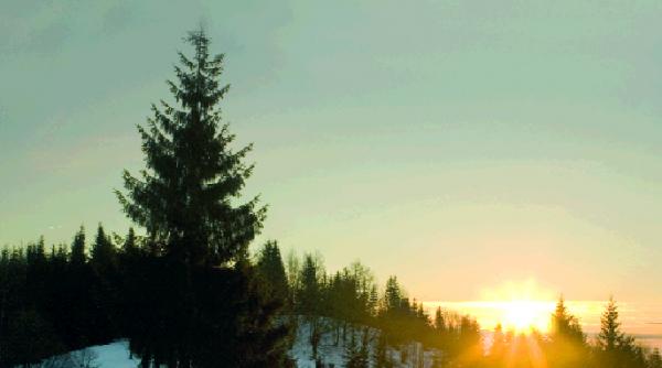 maramures schi la nord de baia mare