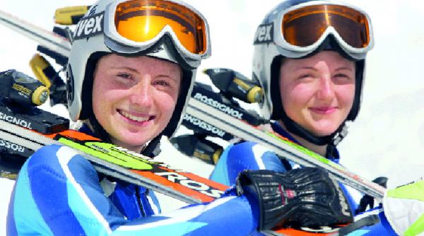 pisicile aristocrate