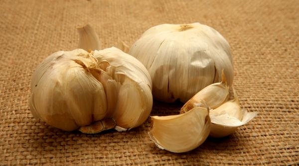 sarbatoare pazitul usturoiului de santandrei