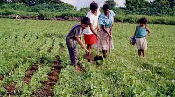comisia europeana cere romaniei sa refuze finantarile in domeniul rural