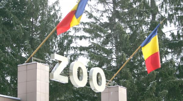 cartier de vile langa zoo