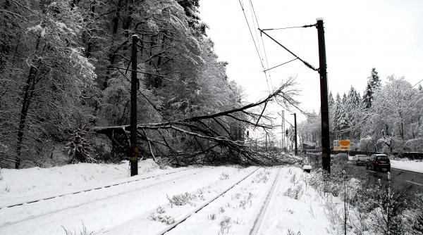 viscol brasovul a fost paralizat