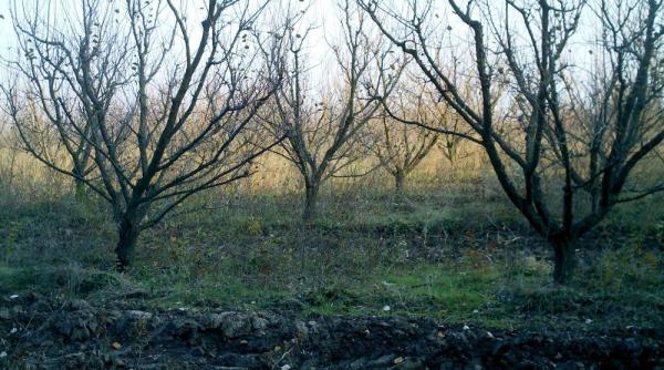 meteo week end cald dar umed