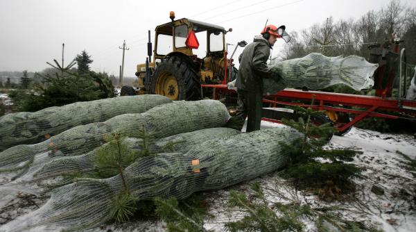 sarbatori eco fericite