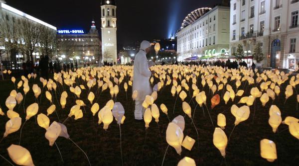 camp de flori luminoase