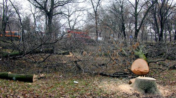 defrisare la padurice