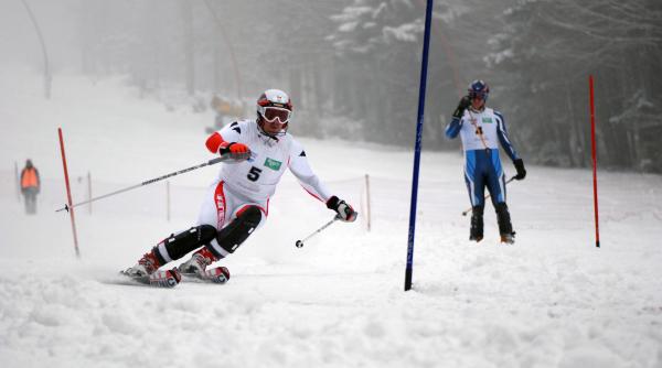 jo de iarna varianta mini