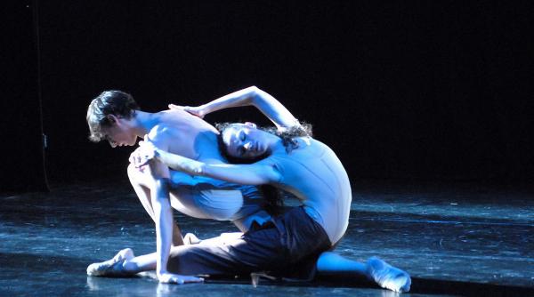 narciso un mit adus in societatea oglinzii