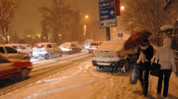 tara marelui patinoar national