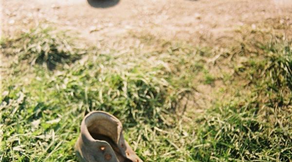 oliver twist de romania