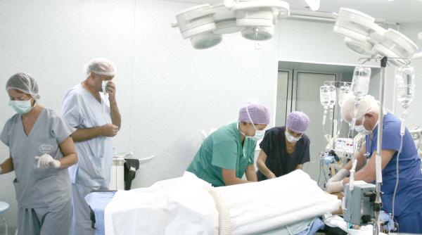 bilant transplant 2007