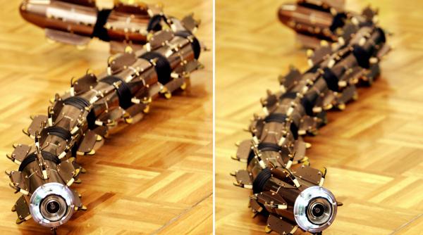 serpii robotici si munca in echipa