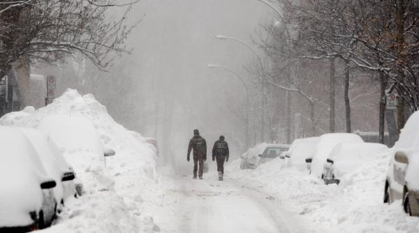 codul galben al zapezii