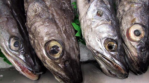 restrictii hotarare la bruxelles