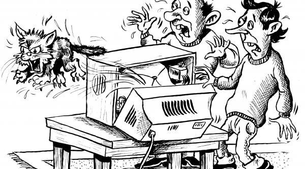 pisica din televizorul color