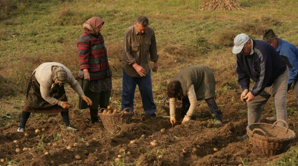 anul acesta vin banii de la ue
