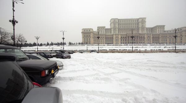 mata moarta in parcarea altuia