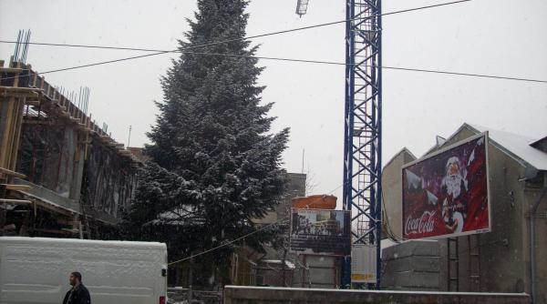 terenuri concesionate pleasca pentru favoriti