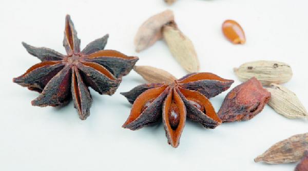 condimentele si arta gastronomica