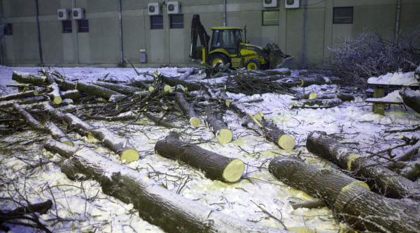 romania in cinci minute