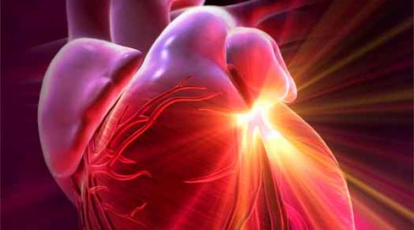 medicina inima vie creeata in laborator